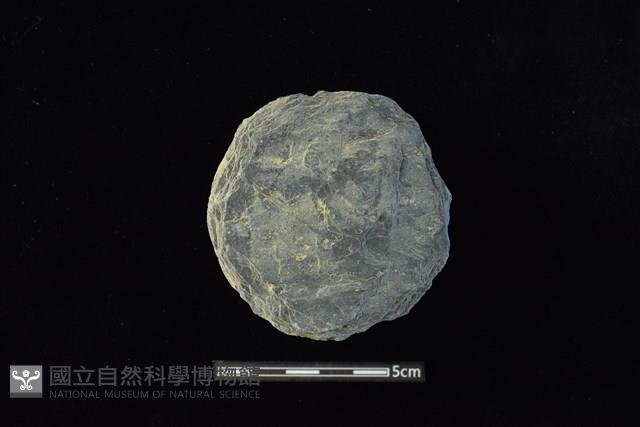 石圓片藏品圖，第1張