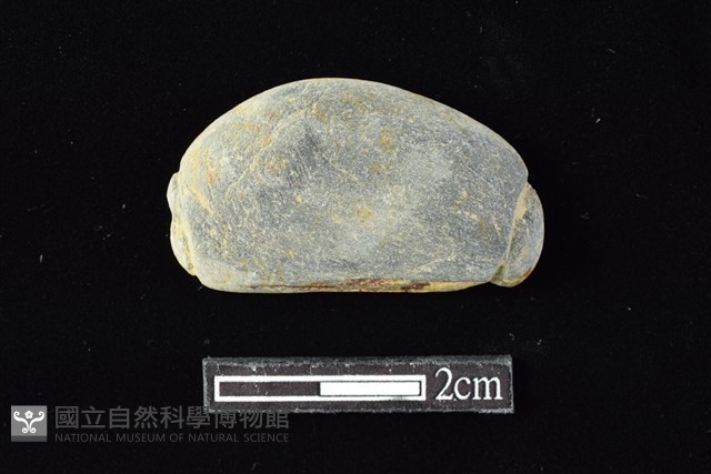 網墜藏品圖，第1張
