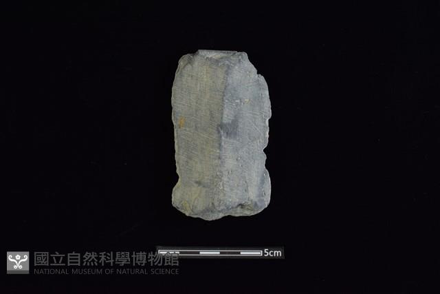 戈形器藏品圖，第1張