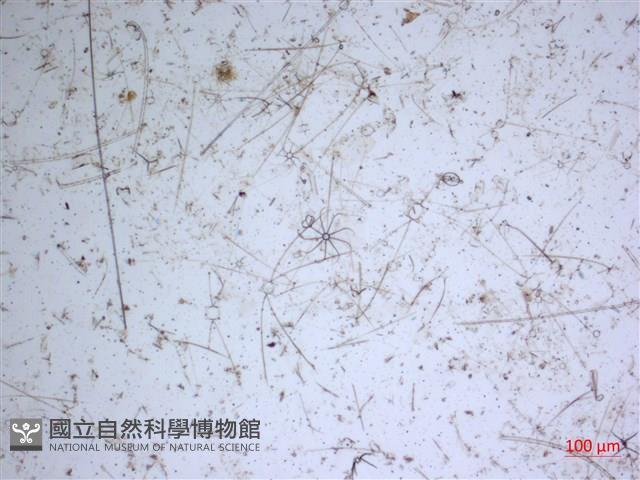 登錄號:A00004651藏品圖，第2張