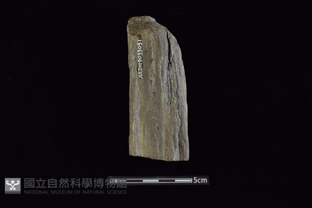 石鎚藏品圖，第2張