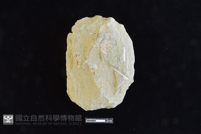 斧鋤形器藏品圖，第2張