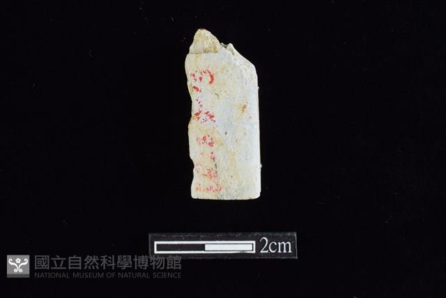 錛鑿形器藏品圖，第2張