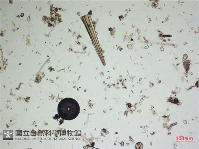 登錄號:A00004551藏品圖，第2張