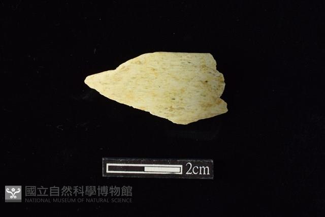 玉環藏品圖，第1張