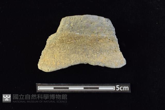 陶罐藏品圖，第1張