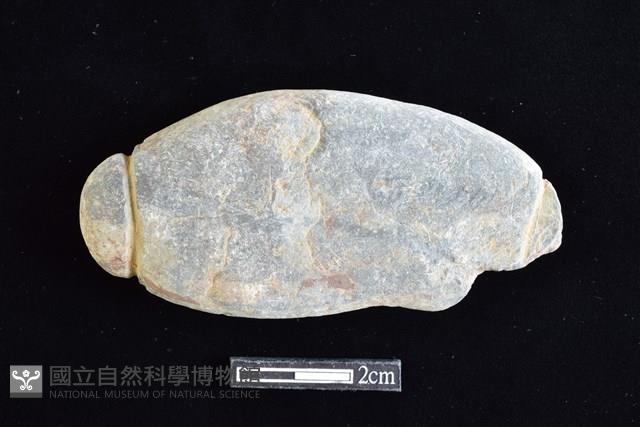 網墜藏品圖，第1張