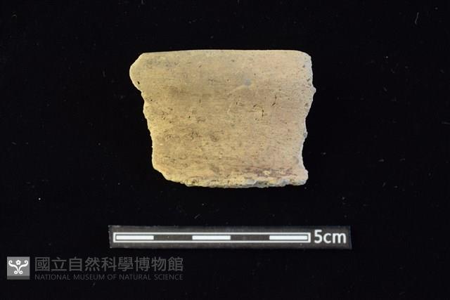 陶罐藏品圖，第1張