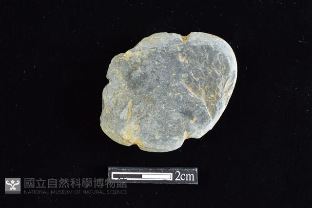 網墜藏品圖，第1張