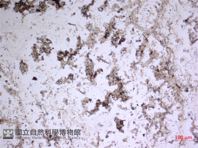 登錄號:A00004621藏品圖，第2張