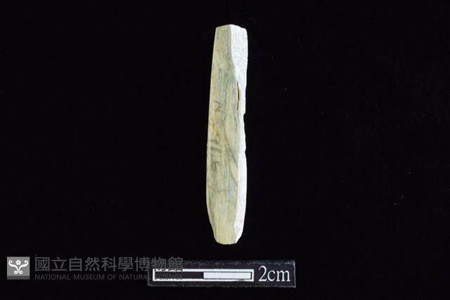 錛鑿形器藏品圖，第2張