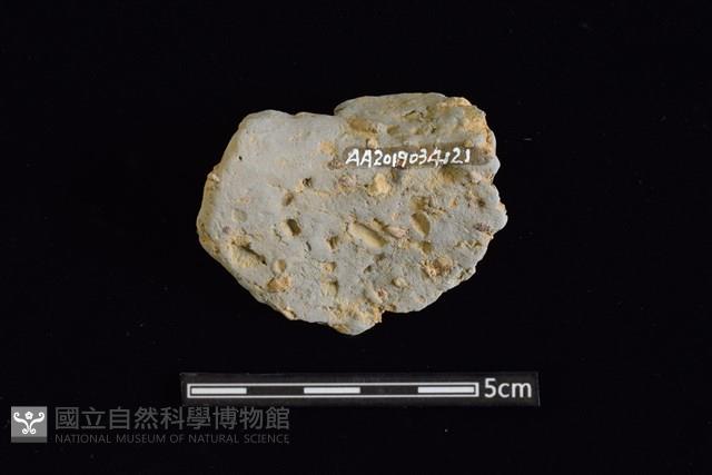 陶罐藏品圖，第2張