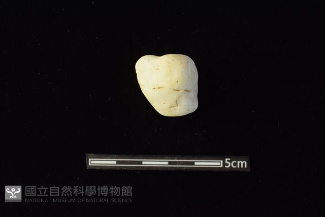 石材藏品圖，第1張