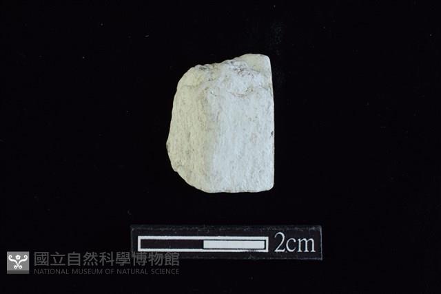 錛鑿形器藏品圖，第2張