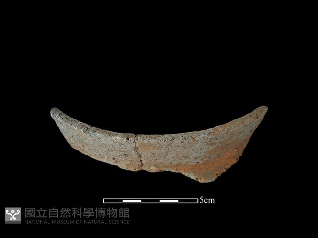 陶罐藏品圖，第1張