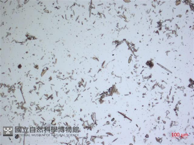 登錄號:A00004671藏品圖，第2張