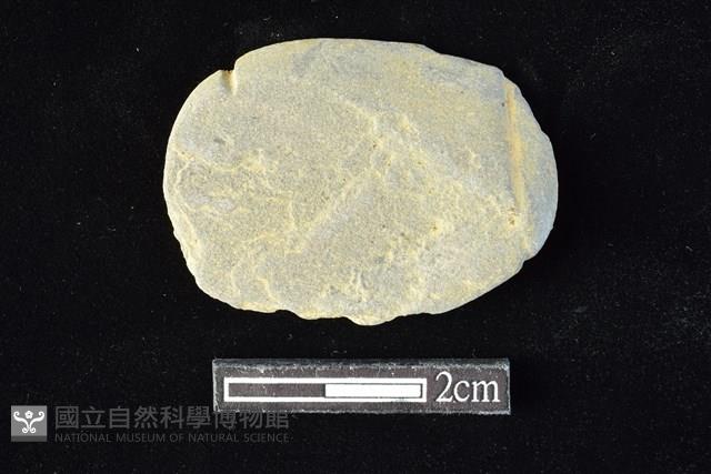 網墜藏品圖，第1張