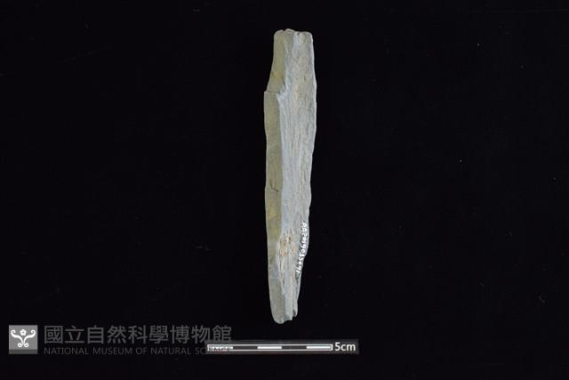 石鎚藏品圖，第2張