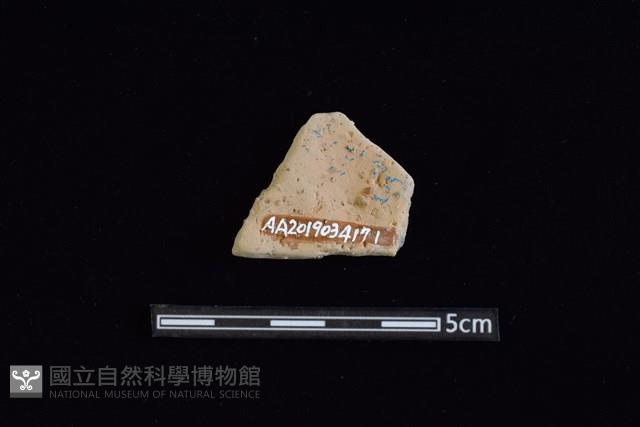 陶片藏品圖，第2張