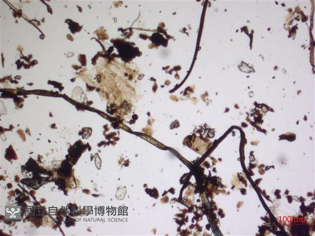 登錄號:A00004571藏品圖，第2張