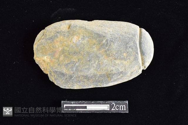 網墜藏品圖，第1張