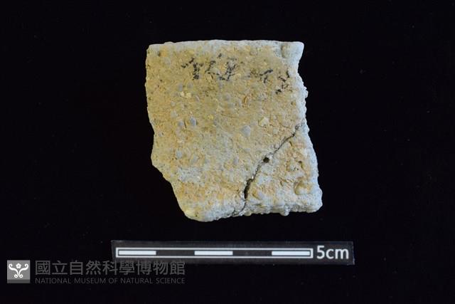 陶罐藏品圖，第1張