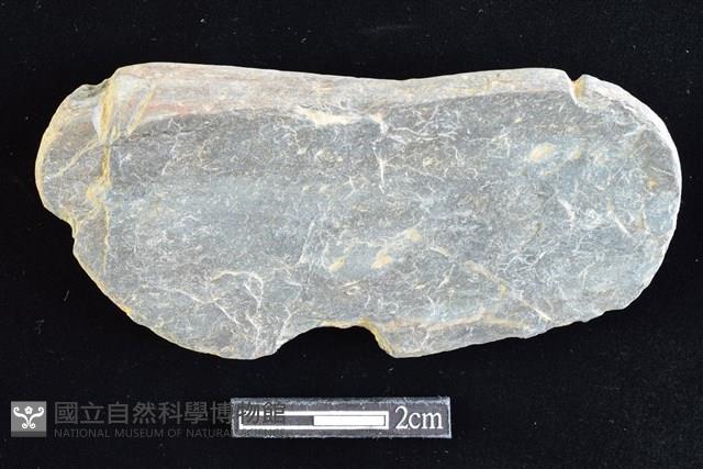 網墜藏品圖，第1張