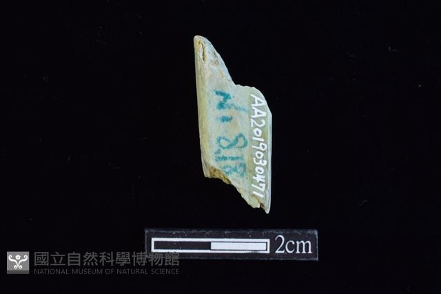 錛鑿形器藏品圖，第2張