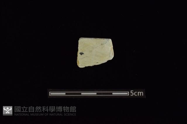 Accession Number:AA2019033471 Collection Image, Figure 1, Total 2 Figures