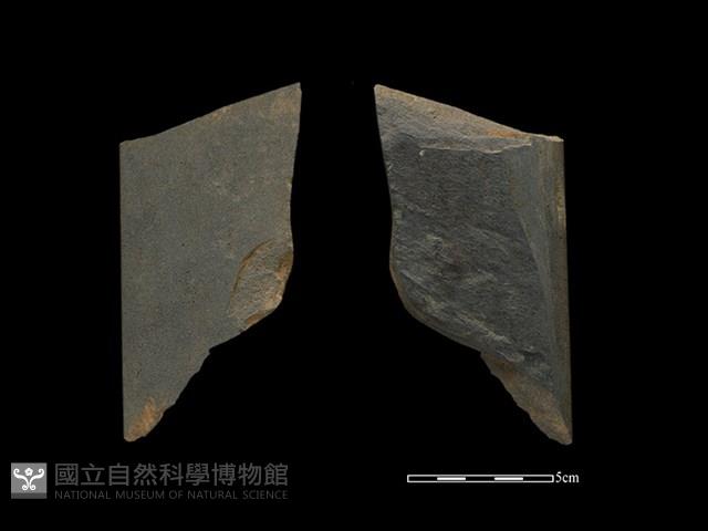 Accession Number:BY-2017-0371 Collection Image