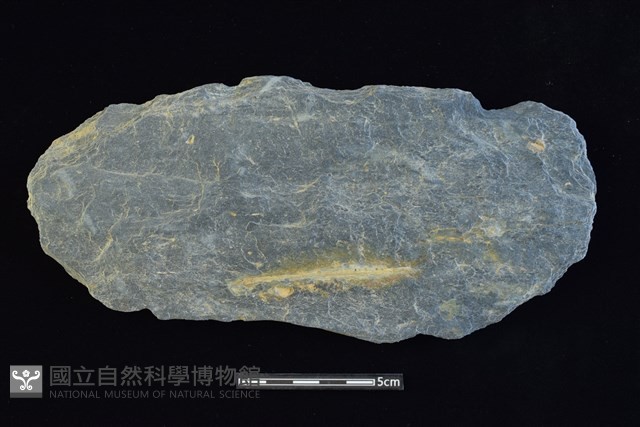 石器殘件藏品圖，第1張