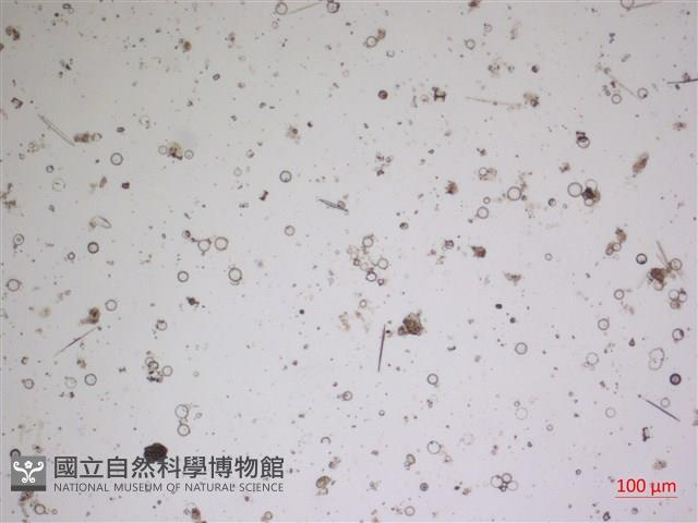 登錄號:A00004611藏品圖，第2張