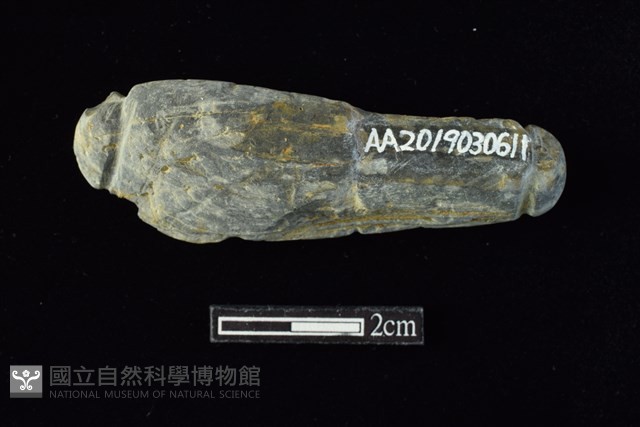 網墜藏品圖，第1張