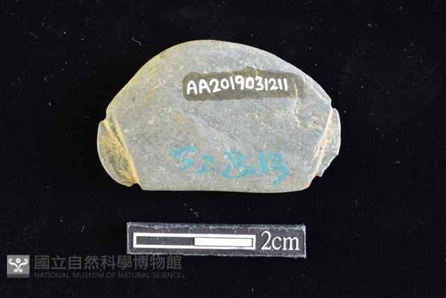 網墜藏品圖，第2張