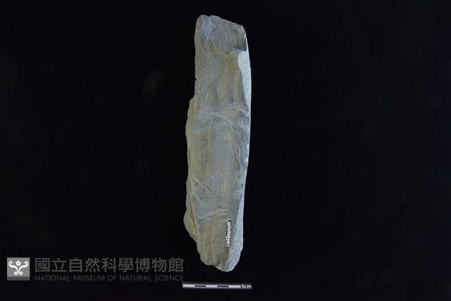 石鎚藏品圖，第2張