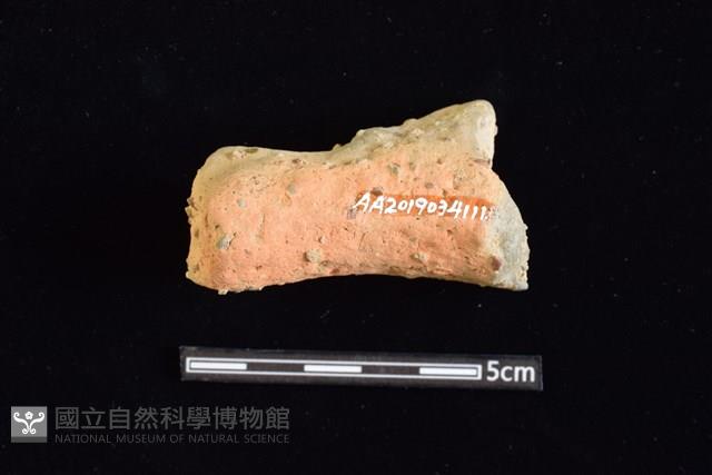 陶罐藏品圖，第2張