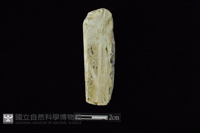 錛鑿形器藏品圖，第2張