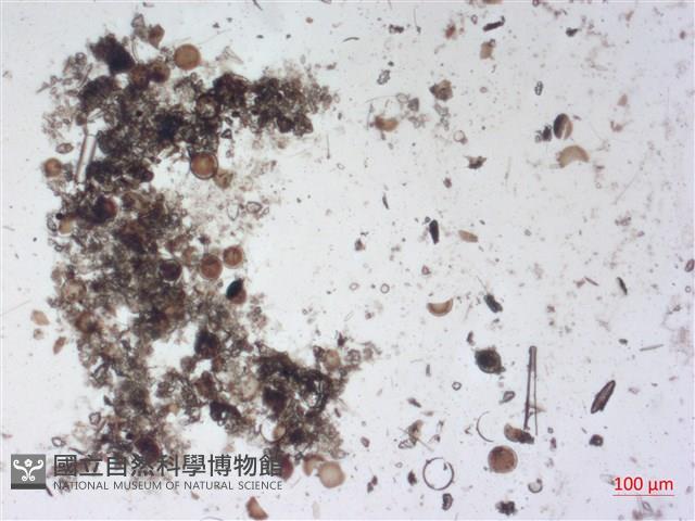 登錄號:A00004511藏品圖，第2張
