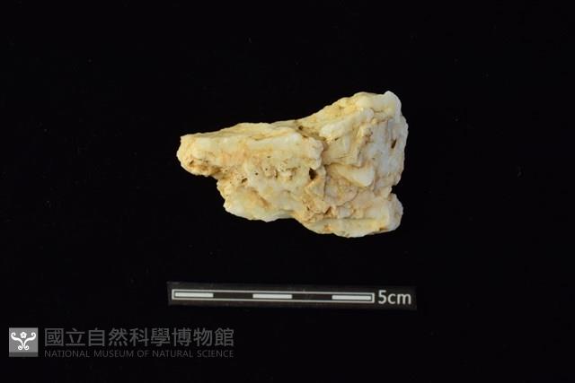 石材藏品圖，第1張