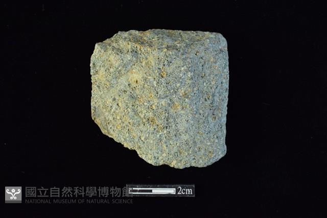 錛鑿形器藏品圖，第1張