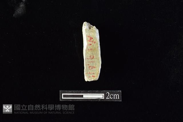 錛鑿形器藏品圖，第2張