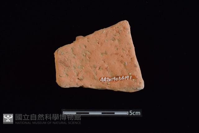 陶片藏品圖，第2張