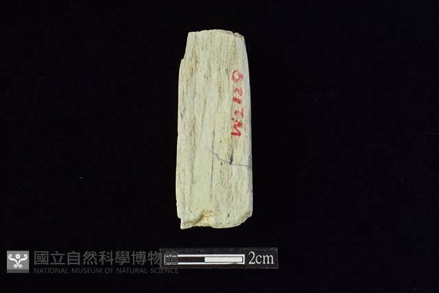 錛鑿形器藏品圖，第2張