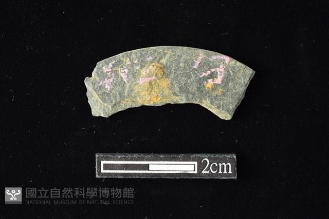 石環藏品圖，第2張