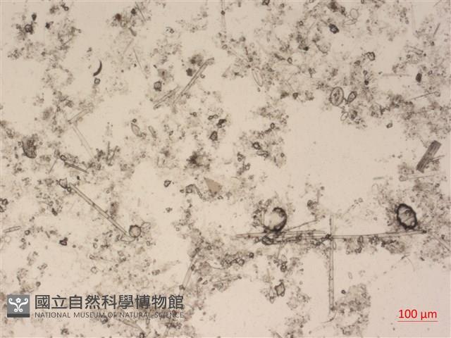登錄號:A00004491藏品圖，第2張