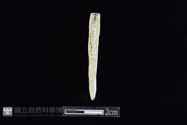 錛鑿形器藏品圖，第2張