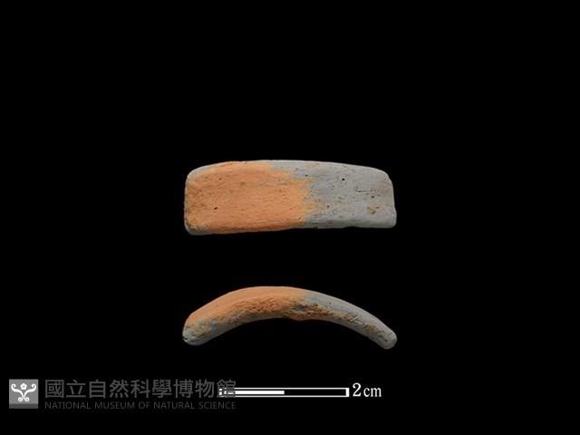 陶環藏品圖，第1張