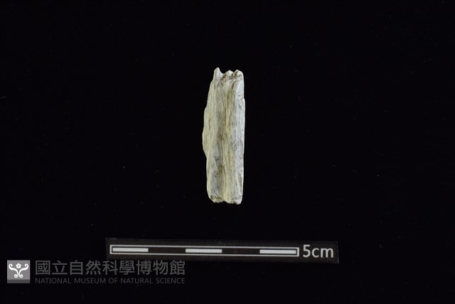 玉料藏品圖，第1張