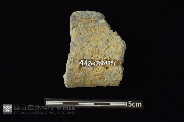 陶罐藏品圖，第2張