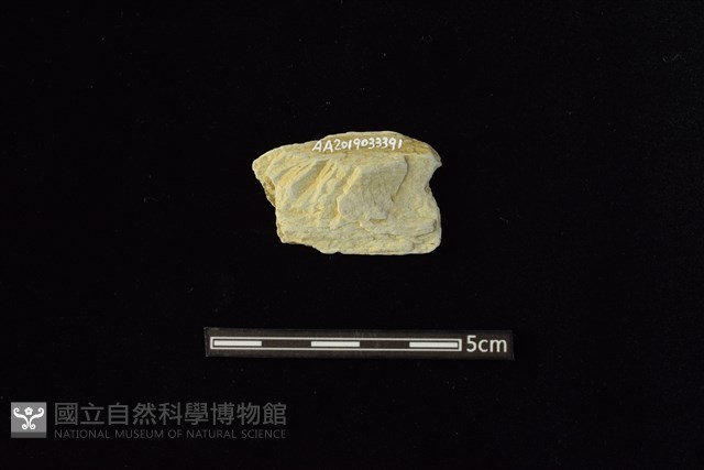 石材藏品圖，第2張